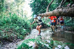 BIB: 
                            <button type="button" onclick="openModal(25445707)" class="btn btn-primary btn-sm float-right btn-popup" data-toggle="modal" data-target=".modal-high-quality">
                        <i class="fas fa-shopping-cart"></i> Add to Cart
                    </button>
                                            <button type="button" onclick="isThisMe(25445707, true)" class="btn btn-success btn-sm float-right btn-popup btn-isme hidden" data-toggle="tooltip" data-placement="bottom" title="นี่คือรูปของคุณใช่ไหม คลิกที่นี่เพื่อเอาเข้าอัลบั้ม">
                        <i class="fas fa-plus"></i> Add to album
                    </button>
                    <button type="button" onclick="isThisMe(25445707, false)" class="btn btn-warning btn-sm float-right btn-popup btn-isnotme hidden">
                        <i class="fas fa-ban"></i> Remove from album
                    </button>